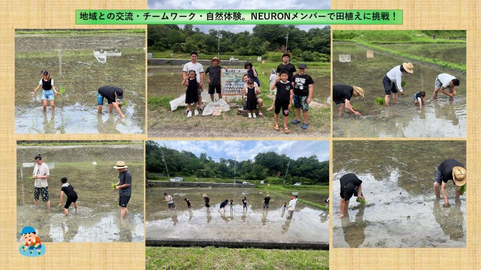 田植え(写真)