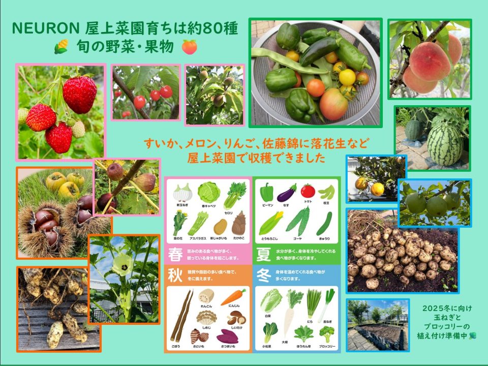ECO Topics用 (80種類！ この数字は🍅？_井上) 写真